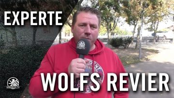 Wolfs Revier – Zwischenfazit | SPREEKICK.TV