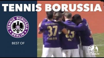 Zurück in der Regionalliga: So gelang Tennis Borussia der Aufstieg!