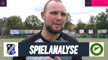 Borsig-Heiners Stimmen th