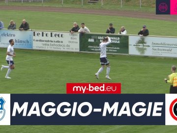 Topspiel in der Hamburger Oberliga: TuS Dassendorf und Martin Harnik empfangen Concordia Hamburg