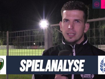 Füchse-Empor Stimmen th