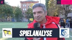 Hansa-VSG Stimmen th