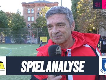 Hansa-VSG Stimmen th