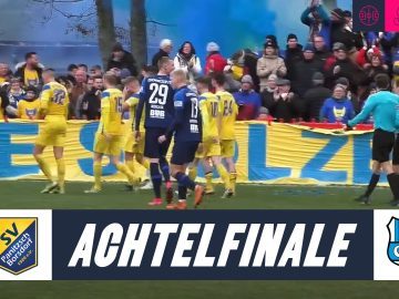 SV Panitzsch Borsdorf Chemnitzer FC