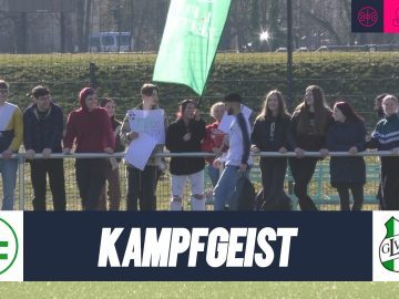 Dao-Show liefert den Erfolg