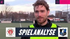 Thumbnail Pauli III-Falke 2