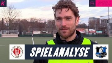 Thumbnail Pauli III-Falke 2