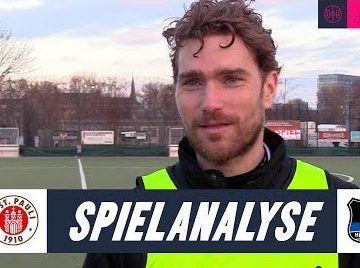 Thumbnail Pauli III-Falke 2