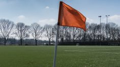 Thumbnail Sachsen Artikel 04.03.