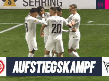 SGE_HFC_thumbnail-min