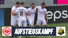 SGE_FER_thumbnail