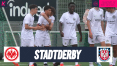 SGE_FSV_thumbnail