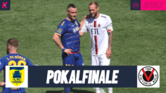 FCD_VIK_thumbnail-min