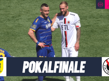 FCD_VIK_thumbnail-min