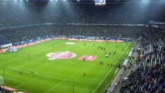 mario-klassen-70YxSTWa2Zw-unsplash (1)hh