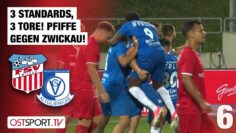 3 Standards, 3 Tore! Pfiffe gegen Zwickau! Zwickau – Altglienicke | Regionalliga Nordost
