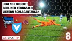 Jugend forscht! Berliner Youngster liefern Schlagabtausch: HBSC II – Viktoria | Regionalliga Nordost