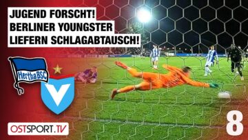 Jugend forscht! Berliner Youngster liefern Schlagabtausch: HBSC II – Viktoria | Regionalliga Nordost