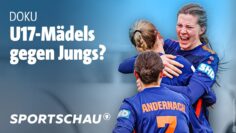 Mädchen ohne Fußball-Bundesliga – Kritik an DFB-Reform | Sportschau