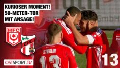 KURIOS! 50-Meter-Tor mit Ansage: Hallescher FC – ZFC Meuselwitz | Regionalliga Nordost