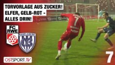 Mega-Torvorlage! Elfer, Gelb-Rot – alles drin! Erfurt – Babelsberg | Regionalliga Nordost