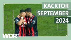 Wahl zum Kacktor des Monats September | ZwWdF | WDR