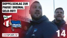 Doppelschlag zur Pause! Dreimal Gelb-Rot: ZFC Meuselwitz – Hertha BSC II | Regionalliga Nordost