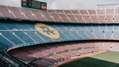 pexels-photo-18420915