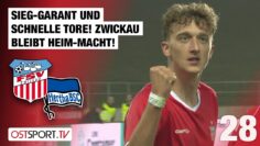 Sieg-GARANT und schnelle Tore! Zwickau bleibt Heim-Macht! Zwickau – Hertha II | Regionalliga Nordost