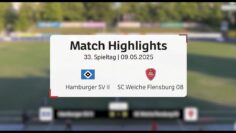 Früher Doppelschlag reicht – HSV II Schlägt Weiche | Regionalliga Nord 33. Spieltag