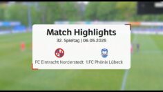 Norderstedt dreht das Spiel und baut Abstand zur Abstiegszone aus | Regionalliga Nord 32. Spieltag