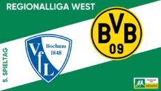 Der Matchwinner heißt Eberwein | VfL Bochum II – Borussia Dortmund II | RL West