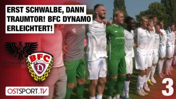 Erst Schwalbe, dann Traumtor! BFC Dynamo erleichtert: Preussen – Dynamo | Regionalliga Nordost