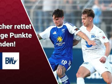 Kickers Emden – Blau-Weiss Lohne| Regionalliga Nord 10. Spieltag