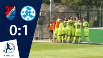 Letzte Aktion entscheidet | TSV Steinbach Haiger – SV Stuttgarter Kickers | 6. Spieltag RLSW