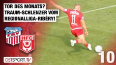 Tor des Monats? Regionalliga-Ribéry traumhaft: FSV Zwickau – Hallescher FC | Regionalliga Nordost