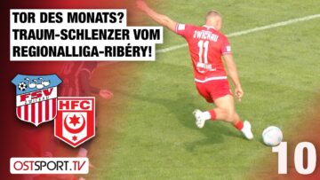 Tor des Monats? Regionalliga-Ribéry traumhaft: FSV Zwickau – Hallescher FC | Regionalliga Nordost
