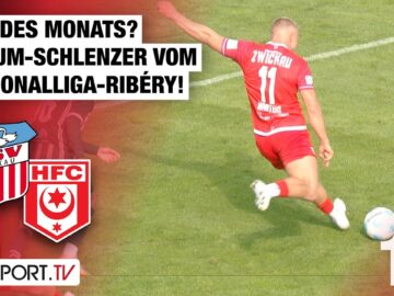 Tor des Monats? Regionalliga-Ribéry traumhaft: FSV Zwickau – Hallescher FC | Regionalliga Nordost