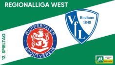 3 Tore in 10 Minuten! Last-Minute-Drama im Stadion am Zoo l Wuppertaler SV – VfL Bochum II l RL West