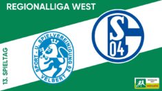 David gegen Goliath? I  SSVg Velbert – FC Schalke 04 II I RL West