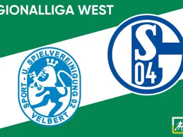 David gegen Goliath? I  SSVg Velbert – FC Schalke 04 II I RL West