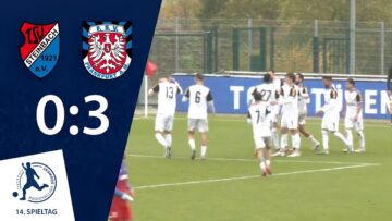 Frankfurt effizient | TSV Steinbach Haiger – FSV Frankfurt | 14. Spieltag RLSW