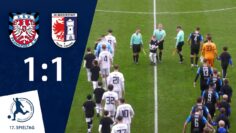 Früher Schock, dann der Ausgleich | FSV Frankfurt – SG Barockstadt | 17. Spieltag RLSW