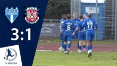 Tabellenspitze verteidigt | SGV Freiberg – FSV Frankfurt | 19. Spieltag RLSW