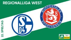 Heimstark im Parkstadion I Schalke 04 II – Wuppertaler SV I RL West