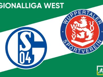 Heimstark im Parkstadion I Schalke 04 II – Wuppertaler SV I RL West