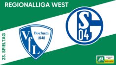 Reviervergleich im Ruhrstadion I VfL Bochum II – Schalke 04 II I RL West